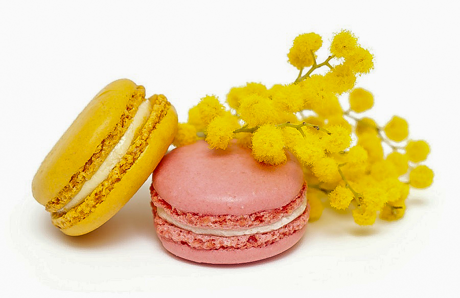 Speciale 8 Marzo - festa della donna al Valsellustra Ristorante Valsellustra